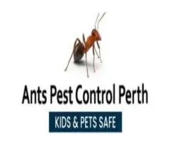 Ants Pest Control Perth