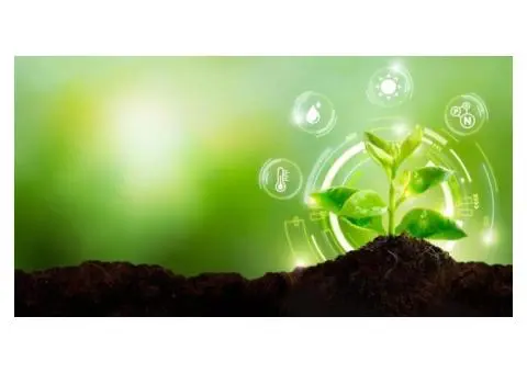 Why Gardeners Prefer Organic Slow Release Fertiliser for Healthy Plants