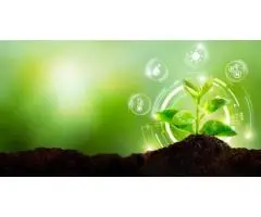 Why Gardeners Prefer Organic Slow Release Fertiliser for Healthy Plants