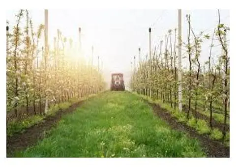 Crop Sun Protection Australia