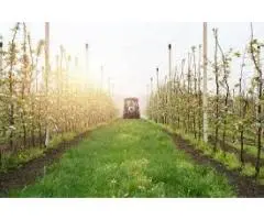 Crop Sun Protection Australia