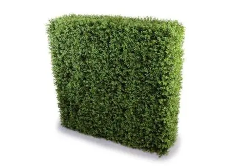 Install Artificial Plant Hedge to Enjoy Ever-Green Privacy
