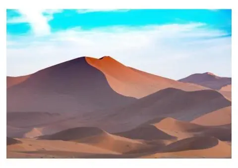 Read Poetry Books Online Free | Radford Writes