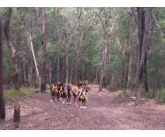 The Best School Excursions Provider in Brisbane