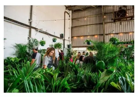 BRISBANE INDOOR PLANT SALE