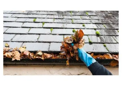 Keep Your Home Safe & Dry with Wollongong Gutters