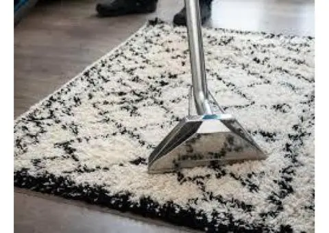 Expert Rug Cleaning Services for a Healthier, Fresher Home