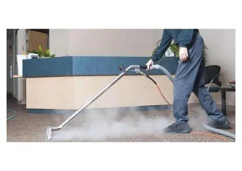 Deep Carpet Steam Cleaning for Cleaner, Healthier Homes