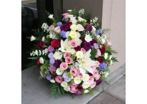 Express your sympathy with graceful funeral flowers