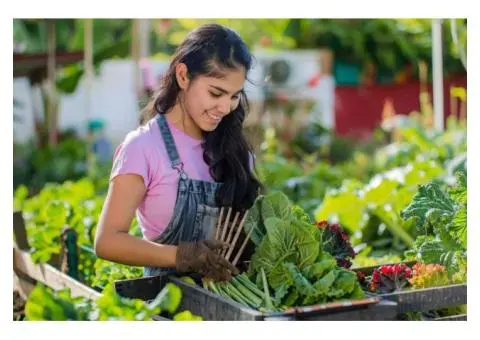 Want Expert Help with Vegetable Gardening in Brisbane?