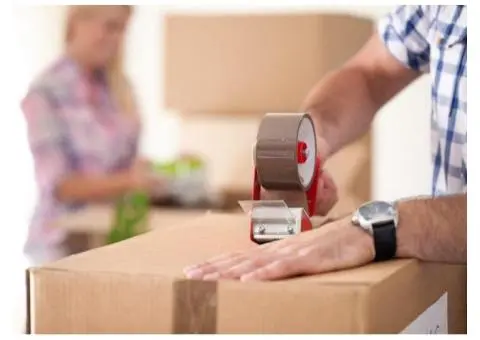 Paradise Point Removals