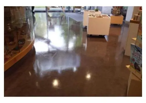 Shine Back Your Vinyl Floors in Melbourne with Expert Cleaning