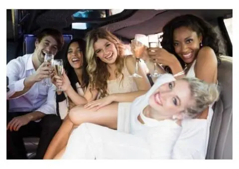 Unforgettable Party Bus Rental in Campbelltown – Travel in Style!