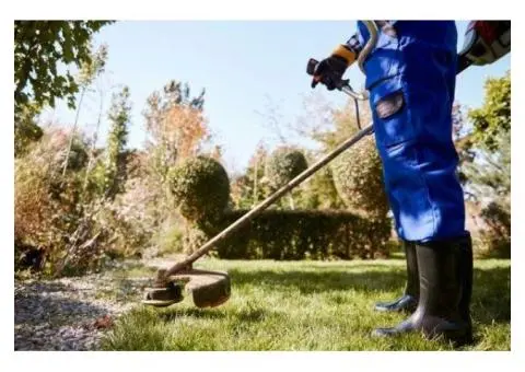 Professional Landscape Services in Melbourne – Eazy Works