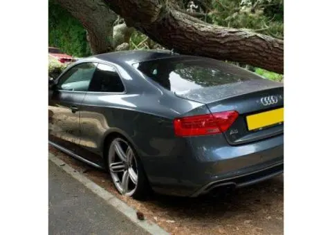 Top Cash for Old Cars in Sydney – Instant Payment & Free Car Removal - 2/4