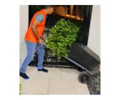 Professional Removalists in Prospect | JAC Removals