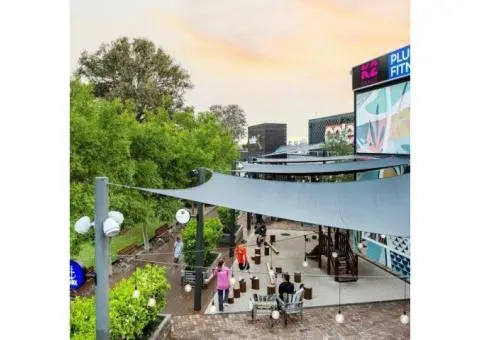 Hawaiian's Melville - 7/8