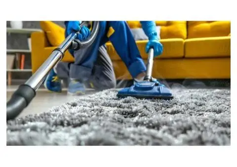 Professional Carpet Cleaners Burwood – Trusted Local Service