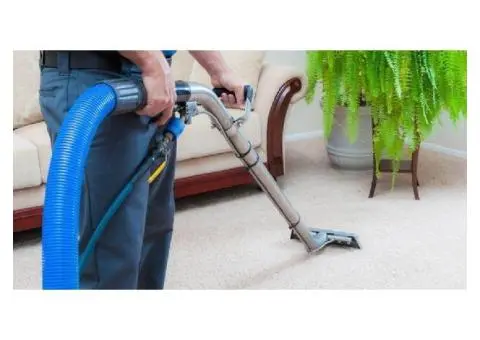 Affordable Carpet Cleaning Concord – Fresh Carpets Guaranteed