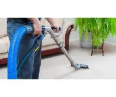 Affordable Carpet Cleaning Concord – Fresh Carpets Guaranteed