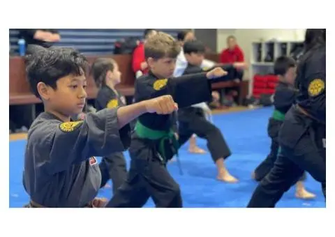 Choose The Right Karate School Nearby with AMAF Australia