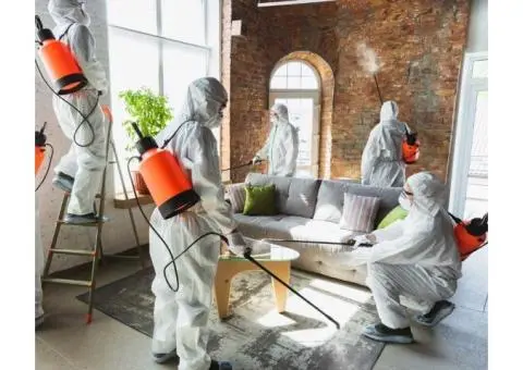 Expert End of Lease Carpet Cleaning Services to Get Your Bond Back