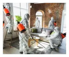 Expert End of Lease Carpet Cleaning Services to Get Your Bond Back