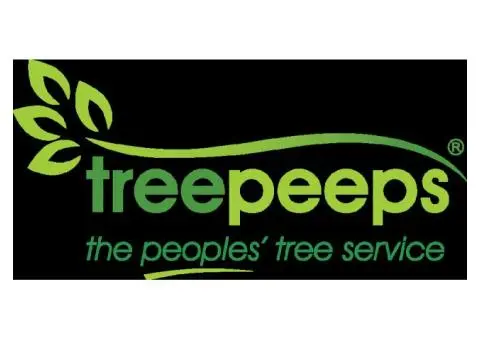 Tree Removal Cambelltown