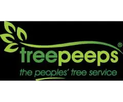 Tree Removal Cambelltown