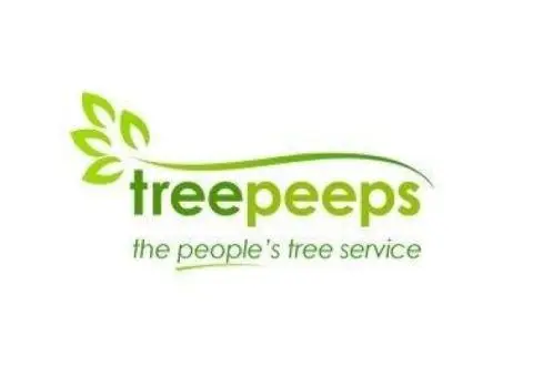 Tree Removal Ipswich
