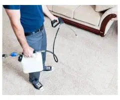 Expert Residential Carpet Steam Cleaning in Richmond