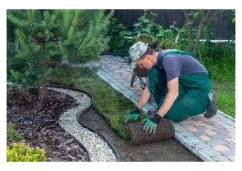 Enhance Outdoor Beauty and Value with Expert Landscaping Services Near Marsden Park - 1/4