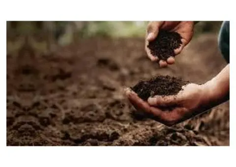 Why Certified Organic Fertiliser is the Smart Choice for Your Garden