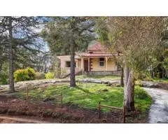 Find Custom Services With the Best Real Estate Agent in Ridgehaven