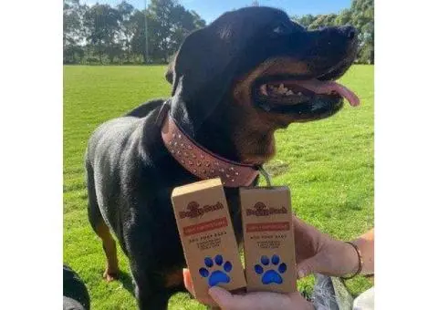 Compostable Dog Waste Bags in Central Coast – Eco Friendly Choice - 2/4