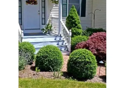 Expert Gardening Services in Bentleigh and Landscape Gardening in Bayside