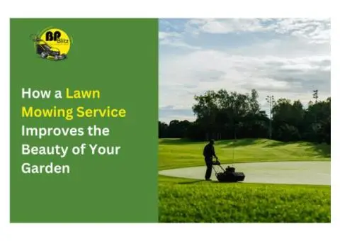 Looking for a Lawn Mowing Services