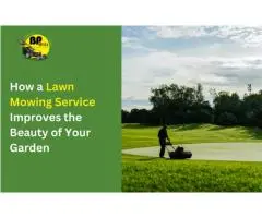 Looking for a Lawn Mowing Services