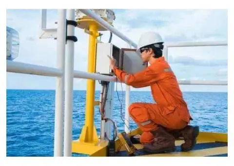 Electrical Protection Spray DRY 250ml - 2/2