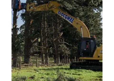 Tree Removal Mornington Peninsula