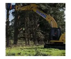 Tree Removal Mornington Peninsula