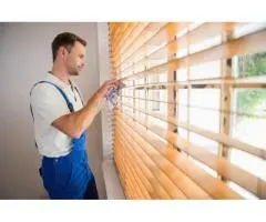 Reliable Carpet Cleaning Services for Canberra Homes