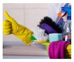 Discover the Best Cleaners in Brisbane for Reliable and Affordable Home Care