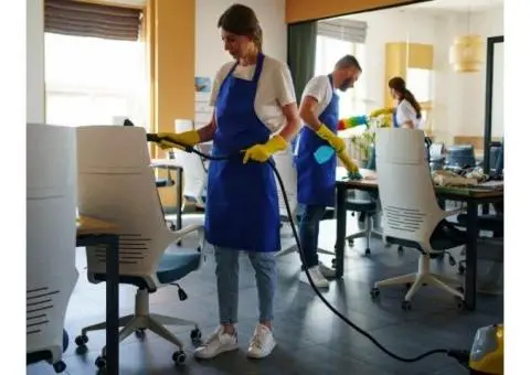 Discover the Best Cleaners in Brisbane for Reliable and Affordable Home Care - 2/4