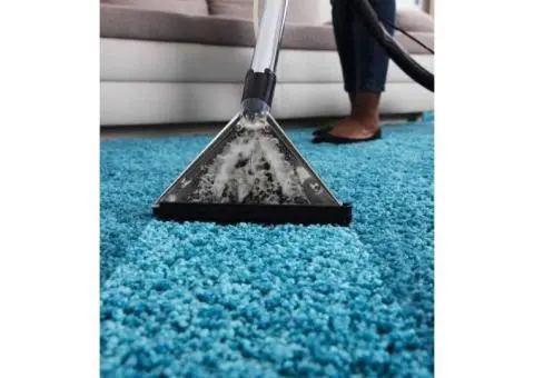 Discover the Best Cleaners in Brisbane for Reliable and Affordable Home Care - 3/4