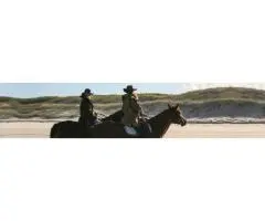 Ride Through Harsh Weather With a Winter Horse Riding Jacket