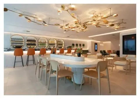 Adelaide's Trusted Plasterer for Home Renovations