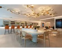 Adelaide's Trusted Plasterer for Home Renovations