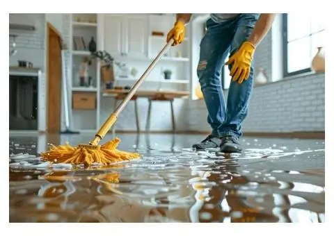 Coordinating Timber Care & House Washing in North shore