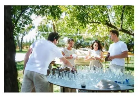 Exclusive Wedding Mandap Decoration in Sydney With Style - 4/5